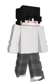 Divid3d Minecraft avatar full body