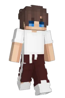 Divinity401 Minecraft avatar full body