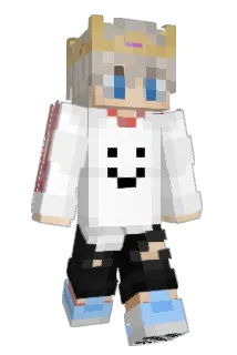 Divions Minecraft avatar full body