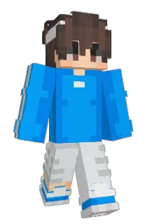 DixMC Minecraft avatar full body