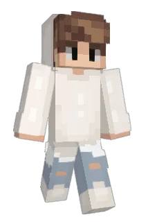 Dixer Minecraft avatar full body