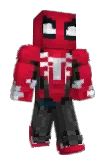 Dixhertz Minecraft avatar full body
