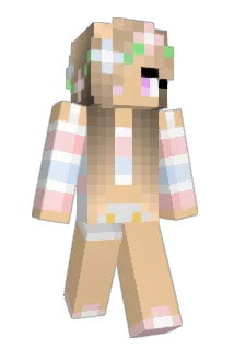 DixieLove11 Minecraft avatar full body
