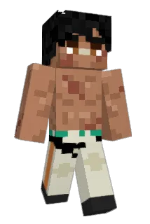 Dizeto Minecraft avatar full body