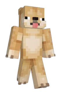 DjDanii Minecraft avatar full body