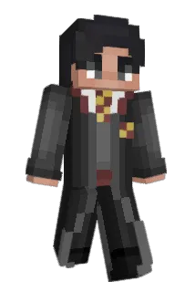 DjWilli Minecraft avatar full body