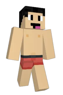 Django_Tn Minecraft avatar full body