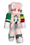 DjiDji_141024 Minecraft avatar full body
