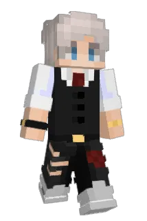 Djimbonsfan Minecraft avatar full body