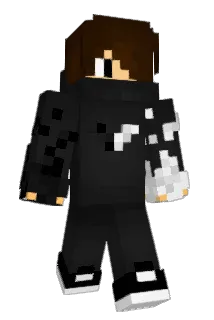 DjoloBros Minecraft avatar full body