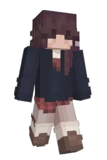DlVl Minecraft avatar full body