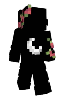 Dmanin Minecraft avatar full body
