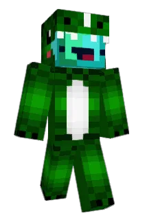 DmarcD Minecraft avatar full body