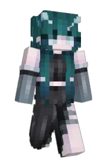 Dmeta Minecraft avatar full body
