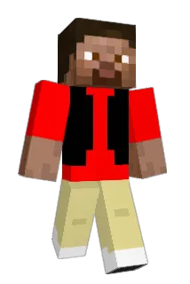 Dminer101 Minecraft avatar full body