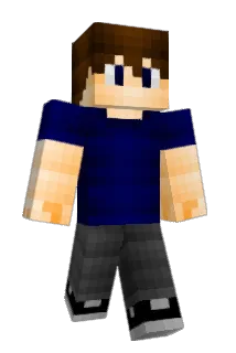 Dmokk Minecraft avatar full body