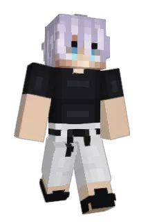 Dnkii Minecraft avatar full body