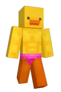 DnzZed Minecraft avatar full body