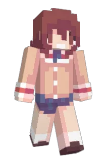 DoDoAroni Minecraft avatar full body
