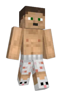 DoVistrow Minecraft avatar full body
