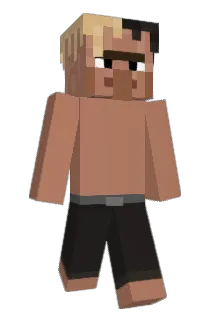 DocWan Minecraft avatar full body