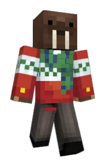 Doc_W4lrus Minecraft avatar full body