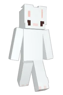 DoctorTame Minecraft avatar full body