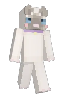 DoctorZzoMD Minecraft avatar full body