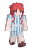 Doctorek Minecraft avatar full body