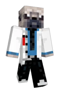 Doctorpug5000 Minecraft avatar full body