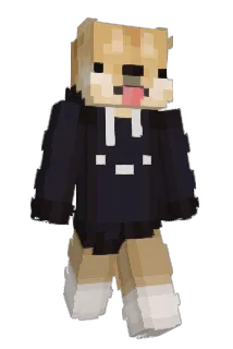 Dodgy_Doge Minecraft avatar full body