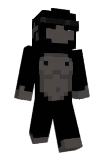 DodoJoe878 Minecraft avatar full body