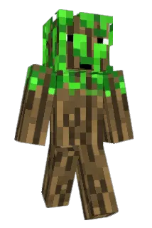 DogWoods Minecraft avatar full body