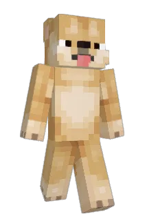 DogeKing64 Minecraft avatar full body