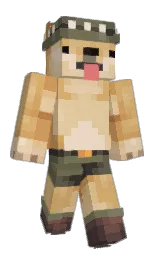 Custom render preview