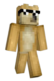 DogeOrTrain Minecraft avatar full body