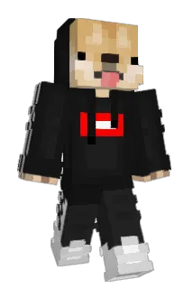 Doge_king24 Minecraft avatar full body