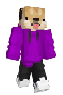 Doge_polska Minecraft avatar full body