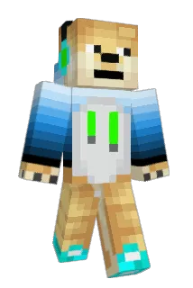 Dogecat1234 Minecraft avatar full body