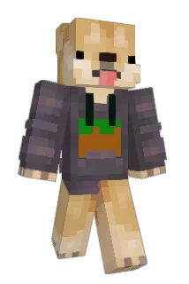 DoggoDoctor Minecraft avatar full body