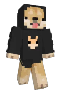 DoggoPups Minecraft avatar full body