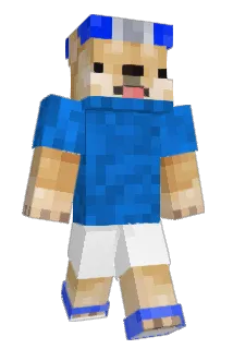 Doginni Minecraft avatar full body