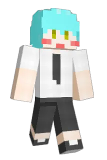 Dogstar__ Minecraft avatar full body