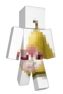 Doigdrip Minecraft avatar full body