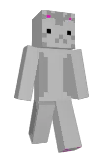 Dojoudaijin Minecraft avatar full body