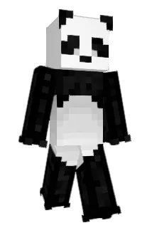 Dokkung Minecraft avatar full body