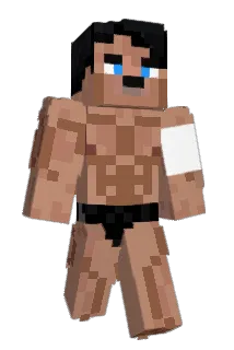 Doktorbrynjar Minecraft avatar full body