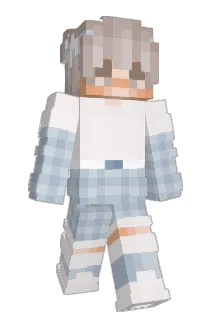 Doktortitel Minecraft avatar full body