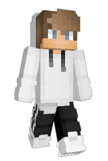 Dolfinator79 Minecraft avatar full body