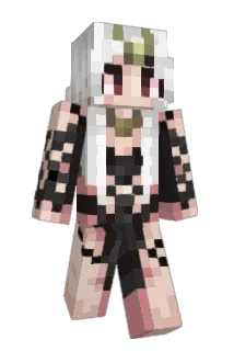 DollDragon Minecraft avatar full body